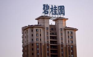 碧桂园香港首个住宅项目低价入市销售，部分房源低于成本价