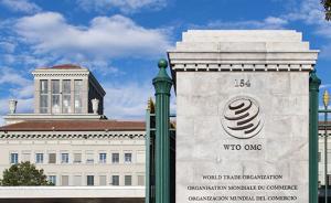 庞观｜“全球治理威胁主权”拥趸不少，WTO改革前景如何