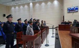 湖南最大数量捕杀小天鹅案二审宣判：14人获刑，最高11年