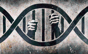 法治的细节︱基因与犯罪