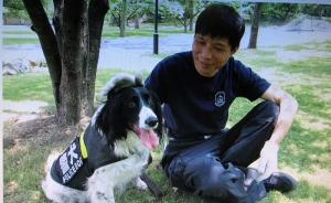 法者｜警犬训导员张平：这项古老职业愿意从事一辈子