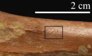 《科学》杂志：新证据将古人类出现在北非时间提前约60万年