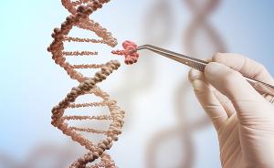 美国批准第二款CRISPR基因编辑药物临床试验，治疗眼病