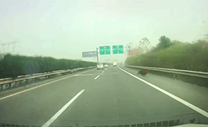 武汉一头野猪窜上高速，撞轿车当场死亡
