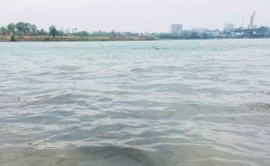 漳州环保局回应三湘江死鱼现象：污水厂主管网因施工破裂所致