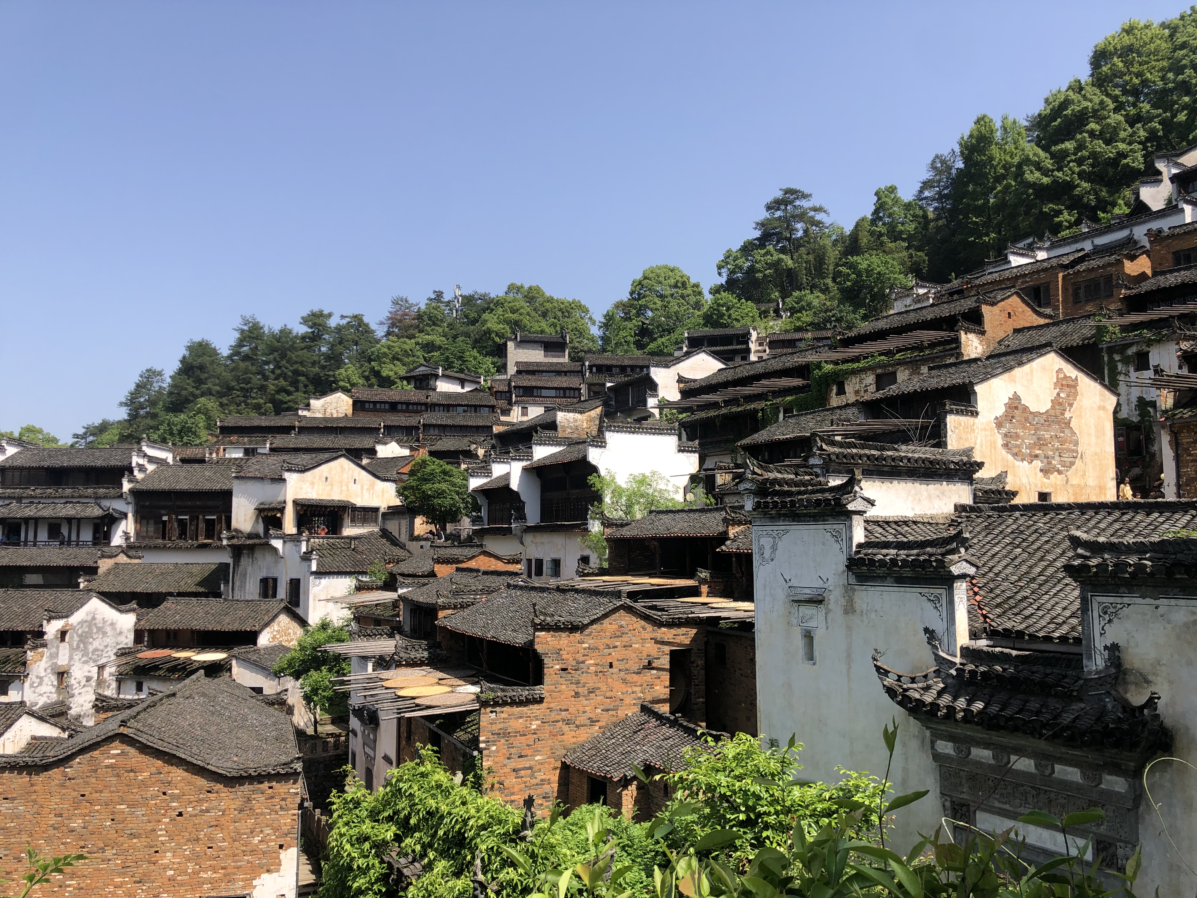 中国乡村风景最美图片