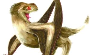 科学家发现翼龙有羽毛状结构，将羽毛状毛发起源提前七千万年