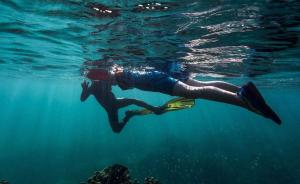 26岁女生疑在印尼浮潜失踪，屡发事故的浮潜到底有多危险？
