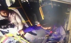 长沙一女子抱狗乘公交遭拒载，公交公司：合规，不会处理司机
