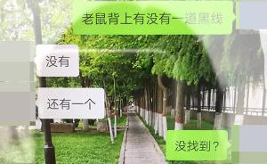 西安一医专学生患出血热死亡，校方：已放假，正检测老鼠采样