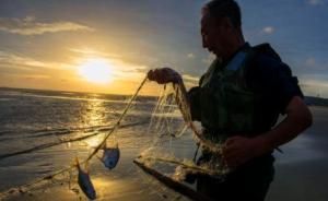 明年2月1日起禁止对长江刀鱼、凤尾鱼、河蟹生产性捕捞 