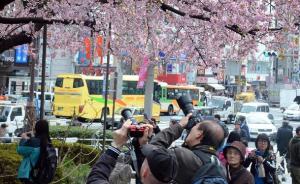 日本欲通过改善环境实现2020年4000万访日游客目标