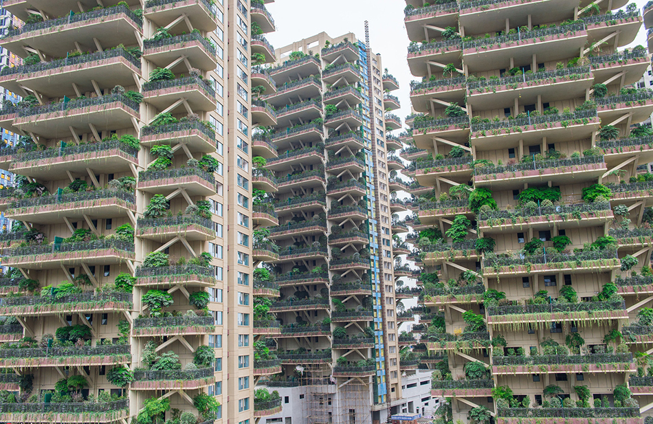 08-5490940840640512232018年12月，四川成都新都区某楼盘，8栋30层高的绿色建筑都被绿植所环绕，每家每户的阳台上都栽种了20多种绿色植物，家家户户阳台都拥有“一座森林”。