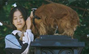 《狗十三》：科学少女李玩的孤独青春物语