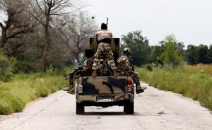 尼日尔军方：新年前后打死287名“博科圣地”武装分子