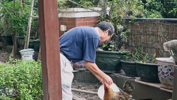 一个台湾老人在东莞7年：示范零排放生活
