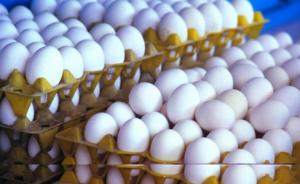 台湾鸡蛋价格创20年新高，岛内部分餐饮业“涨”声响起
