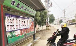 湖北孝昌设耻辱墙公布电诈人员照片，律师称公开信息需谨慎