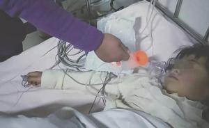 甘肃8岁女孩被打伤致下体出血，专家从不同角度分析法律责任