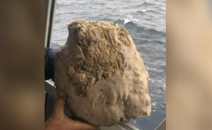 东海渔民捞出“石头”疑似龙涎香
