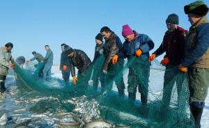 海河、辽河、松花江和钱塘江流域将实施禁渔期制度
