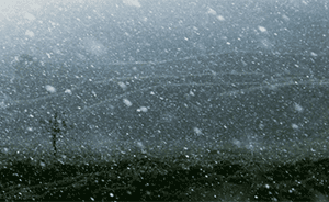 暴雪压境，安徽合肥拉响应急警报