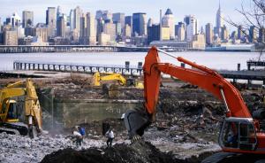 全球城市观察︱城市土壤何处去，科学家监测了纽约的土壤变化