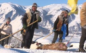 牧民脚踩古老毛皮滑雪板穿越阿尔泰山