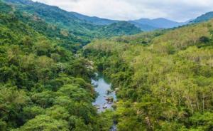 海南热带雨林国家公园首批生态搬迁工作今年启动