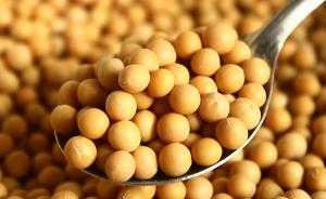菲律宾公开多项转基因大豆和转基因棉花的食用和饲用申请