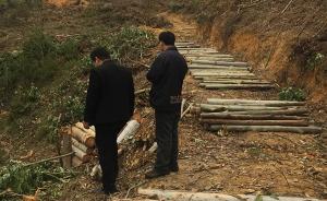 广西7村民阻扰承包人砍伐桉树被抓，一人刑拘期内死亡