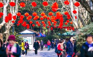 今年国内游人数将超60亿人次，旅游成为中国人的幸福必需品