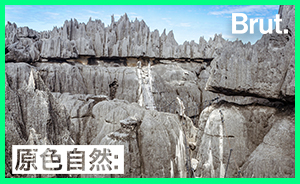 去馬達加斯加,挑戰古老的石灰巖迷宮