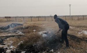 黑龙江村民上坟烧纸，一把火引燃160亩秸秆和荒草