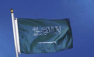 巩固“反贪风暴”成果，沙特新设机构监督政府支出