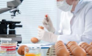 鸡蛋中提取抗癌药成分，成本或降九成