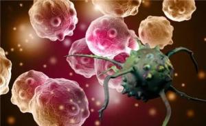 疟疾抗癌被质疑“靠不靠谱”，研究团队：理解质疑但暂不回应