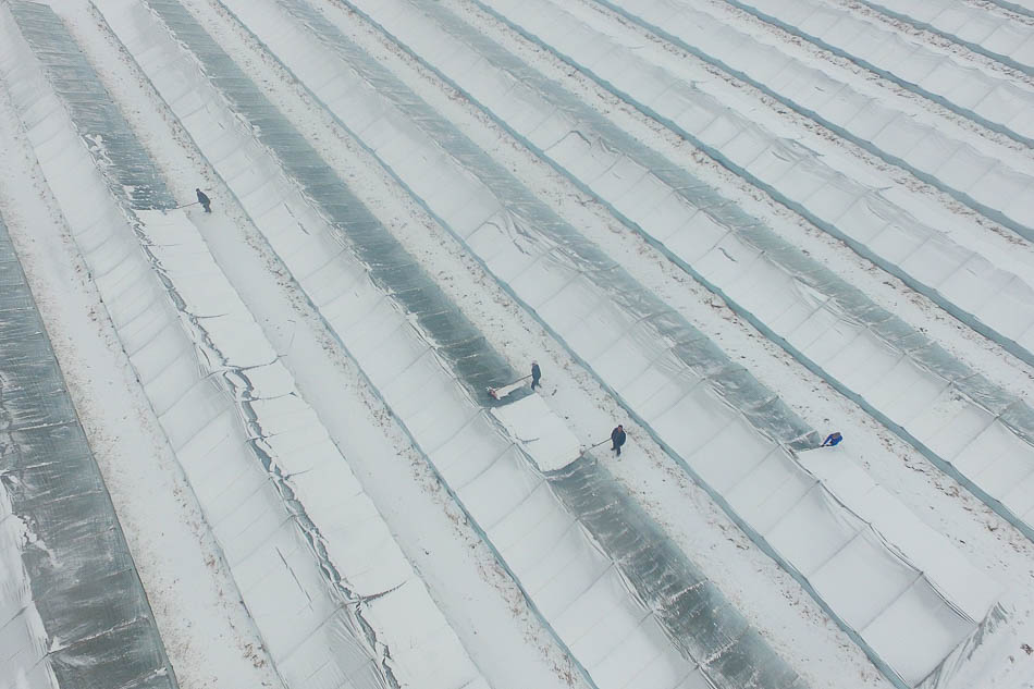 09-VCG1111915937752019年2月14日，山东聊城， 在茌平县贾寨镇耿二庄村，村民在清理蔬菜大棚上的积雪。