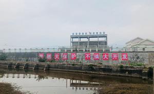 63城将彻查长江入河排污口：不查清楚，长江水能保护得好吗