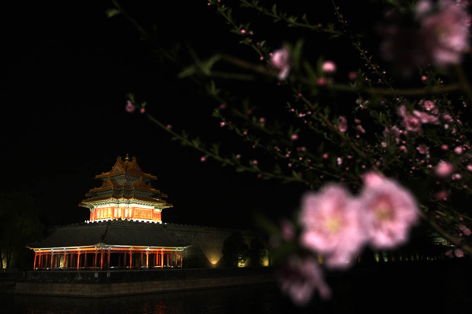 06-VCG114270922002012年04月14日，北京，故宫角楼旁的桃花盛开，夜幕下与角楼交相辉映。