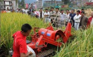 中共中央国务院：实施数字乡村战略，促进农村劳动力转移就业