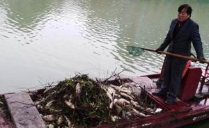杭州水源保护区贴沙河中捞起上百斤死鱼：都是盲目放生惹的祸