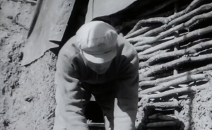 床底都是蛇，三线建设初期的攀枝花工人生活有多艰苦？