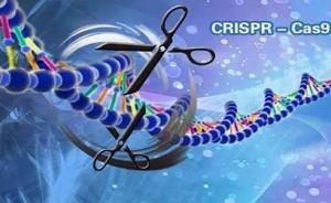医学里程碑：CRISPR基因编辑疗法完成首例人类临床试验