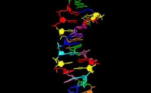 不再只有ATCG！科学家新扩充了生命的遗传密码：ZPSB