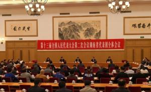 湖南团拟以全团名义建议：希望批准设中国（湖南）自贸试验区