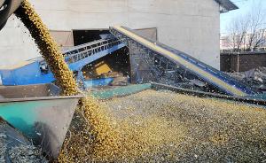 黑龙江：今年继续实行大豆生产者补贴，每亩补贴300元左右