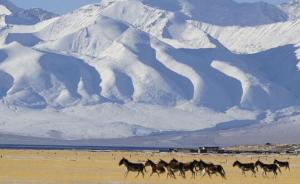 西藏：66.7万生态岗位保护纯净雪域高原