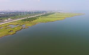 上海出台水务海洋违法行为举报奖励办法，最高奖励5万元