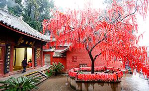 绵阳一古庙内百年梅花树盛开，游客挂万条红丝带祈福